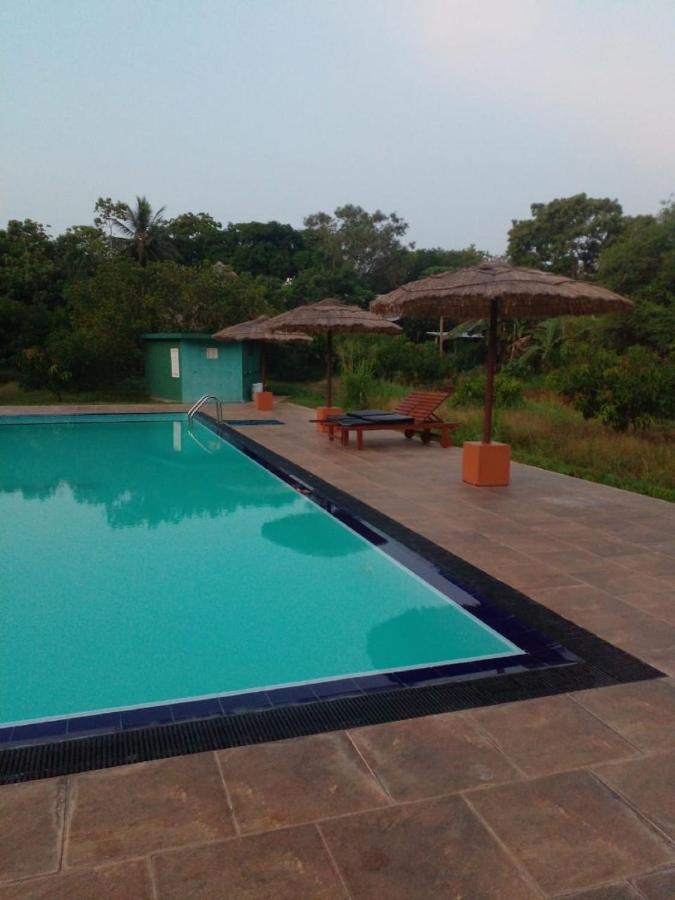 Sigiriya Peacock Homestay ภายนอก รูปภาพ