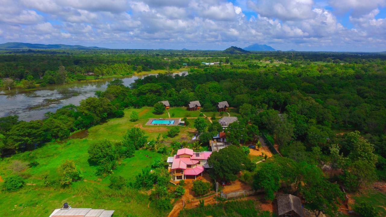 Sigiriya Peacock Homestay ภายนอก รูปภาพ